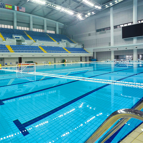 Laswim Customized Salt Chlorination System Salt Chlorine Generator Pool Chlorinator For Replacement