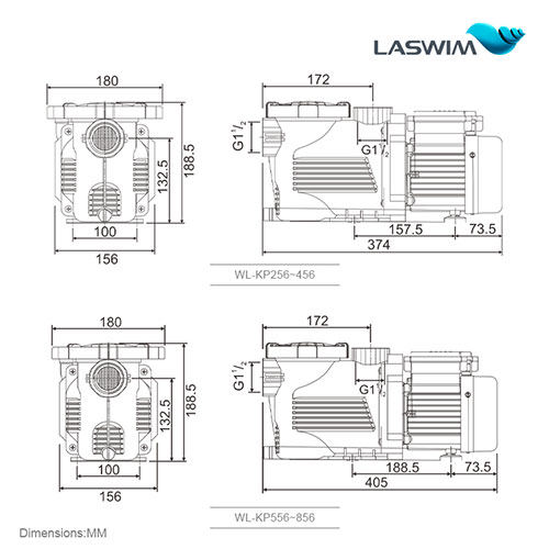 Laswim Factory Price ODM/OEM High Flow Rates Powerful Pool Pumps High Performance Pump